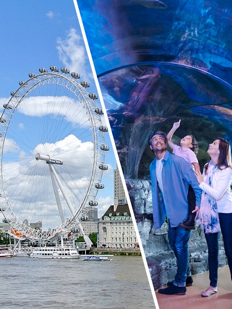 London Eye Standard Tickets and SEA LIFE London Aquarium Tickets