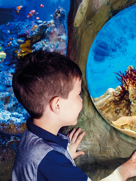 Visitors exploring SEA LIFE London aquarium exhibits