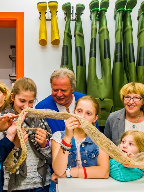 Children exploring SEA LIFE London aquarium's behind-the-scenes tour, observing marine life and learning about ocean conservation.