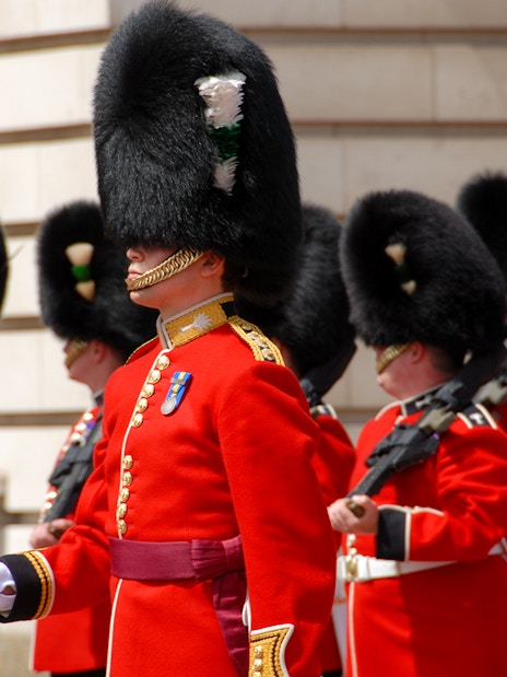 Welsh Guards during Westminster 3 Hour Walking Tour
