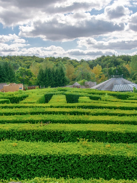The maze at leeds castle