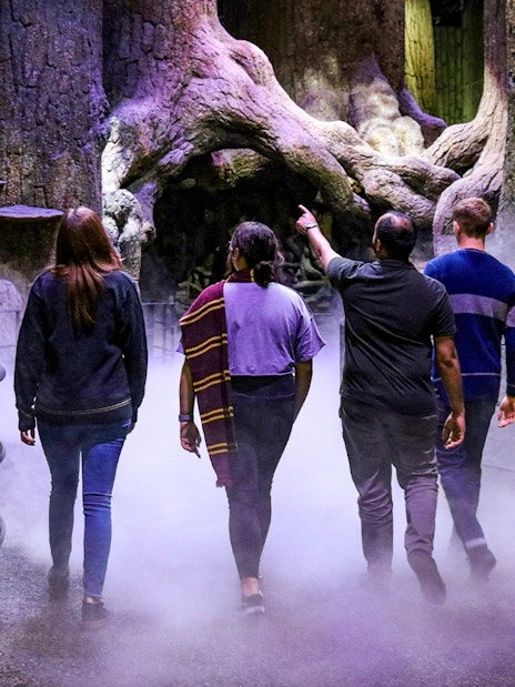 Visitors exploring Warner Bros. Studio London with Harry Potter film sets and props.