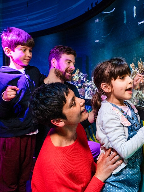 Visitors exploring SEA LIFE London Aquarium with diverse marine life exhibits.