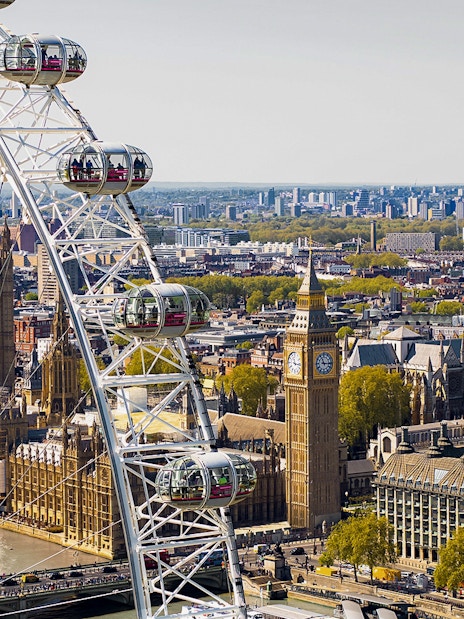 London Eye and Thames River Cruise combo with view of Kew Gardens, London.