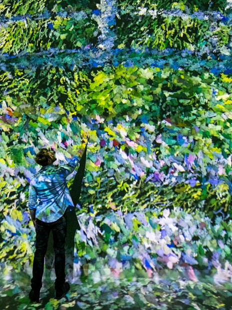 Monet's Water Lilies at Colour in Motion Gallery, Frameless London.