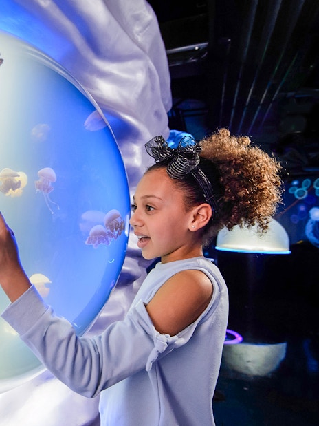 Visitors exploring SEA LIFE London Aquarium with diverse marine life exhibits.