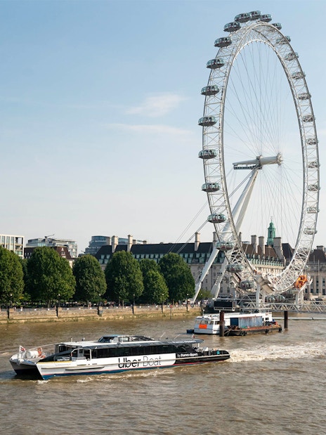London Eye view from the Thames River, part of the London All-Inclusive Pass by Go City.