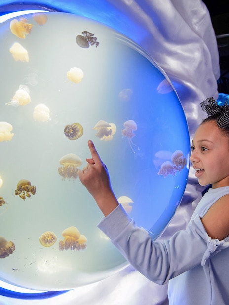 Visitor exploring SEA Life Aquarium in London with Turbopass.