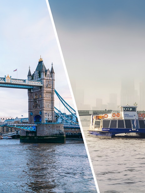 Tower Bridge and River Thames cruise with engine room entry, London.