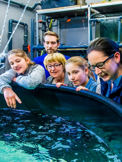 Visitors exploring SEA LIFE London aquarium's behind-the-scenes area with marine life exhibits.