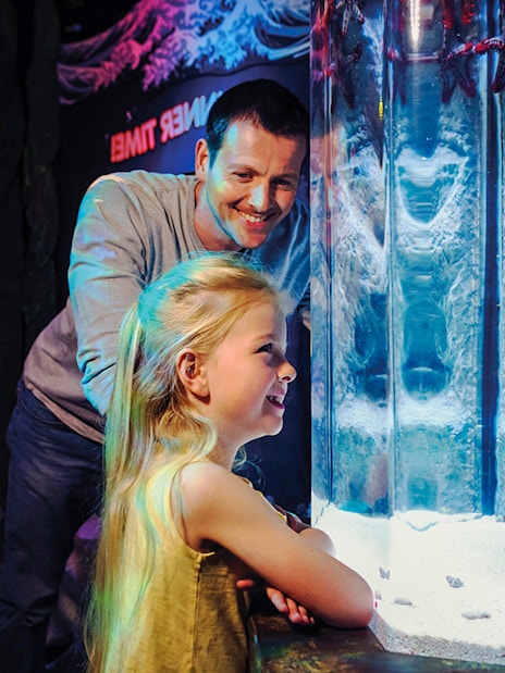 Guests observing starfish at SEA LIFE London aquarium exhibit